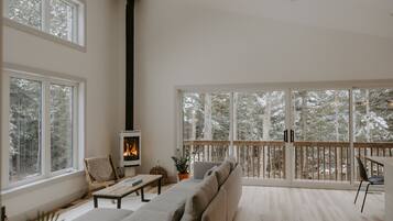 TV connectée, cheminée, livres