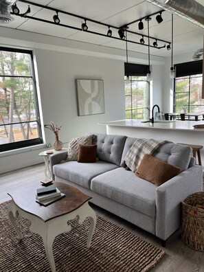 Smart TV, fireplace - BOHO CONDO w/Rooftop Hot Tubs! 2 minutes to downtown TC & Beaches. Dog Friendly! (Traverse City)