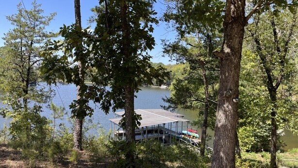 A lakeside cabin with a dock, surrounded by trees and a clear view of the water. - The Walnut at Hamilton Cove ~ Cabin Nineteen ~ Pet friendly ~ Lakefront (Royal)