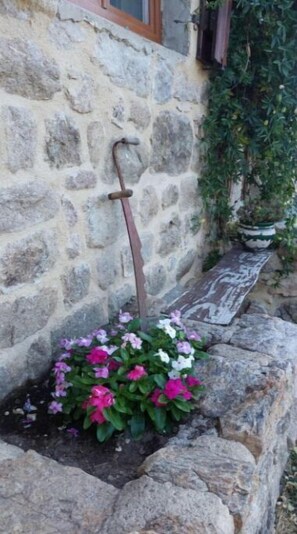 Détail de l’extérieur