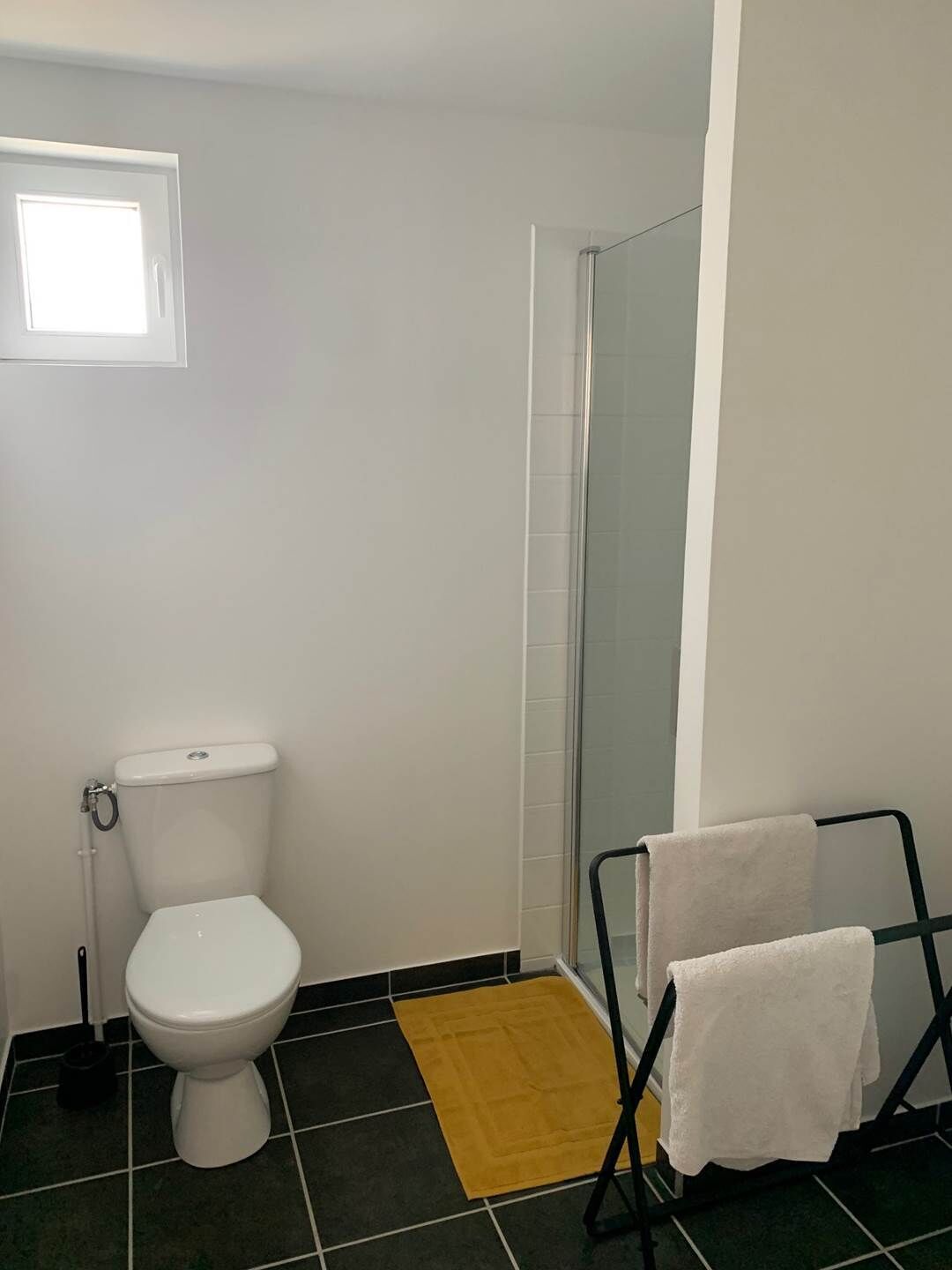 Ein Badezimmer mit Toilette, Dusche und Handtuchhalter.