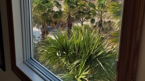 A view through a window of a beachfront property with multiple buildings, including a large white house with balconies, surrounded by palm trees and a sandy beach. - Plantation at St George Island Fl.. Beautiful beach view from all bedrooms . (Saint George Island)