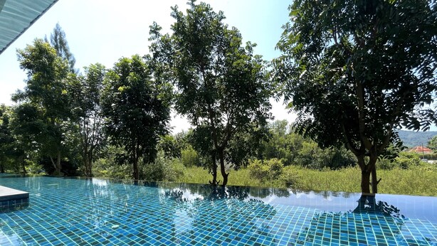 Une piscine dont le fond est recouvert de carreaux, entourée d’arbres et de verdure.