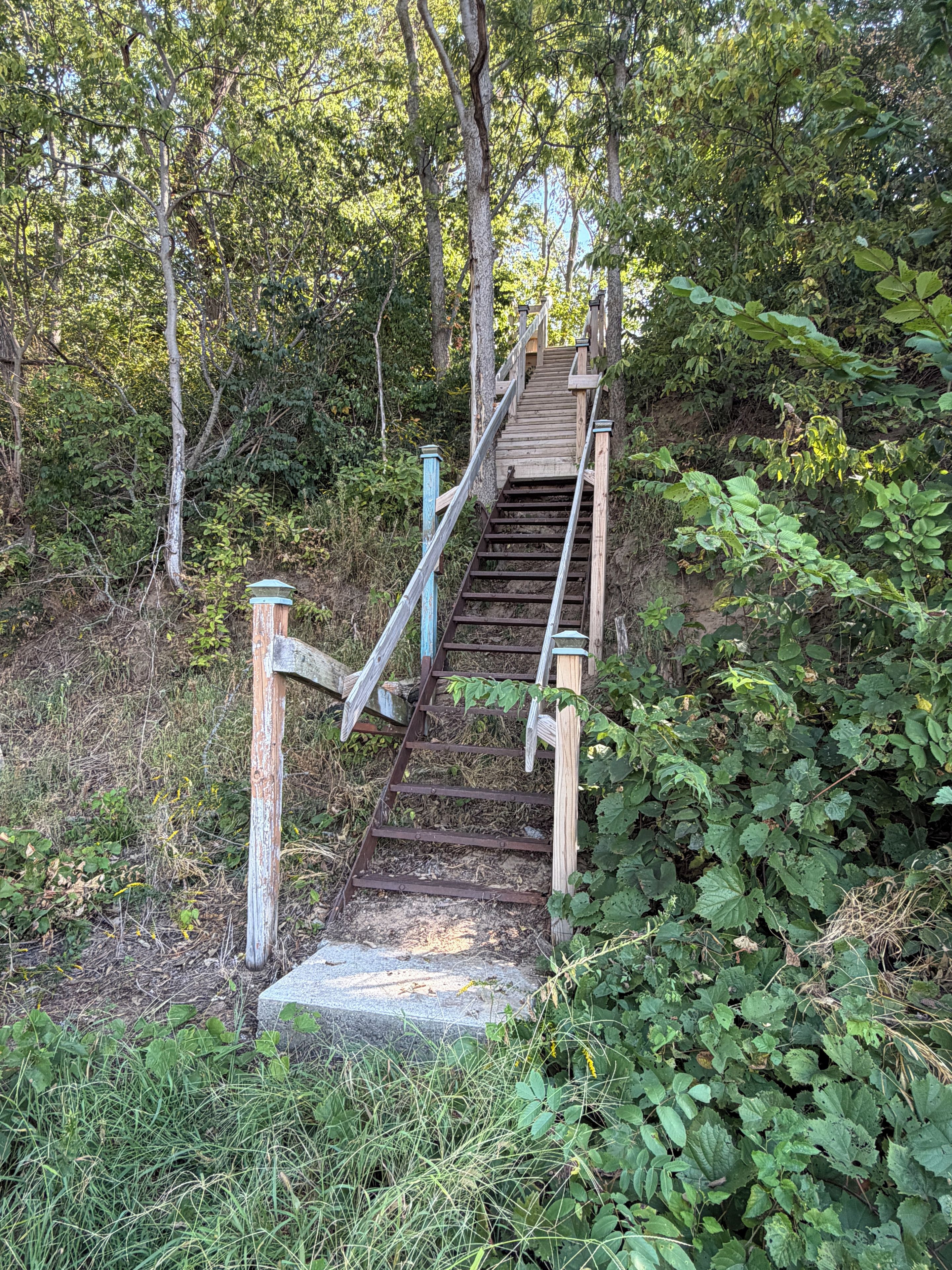 A wooden staircase leading up a hill, surrounded by dense foliage.
