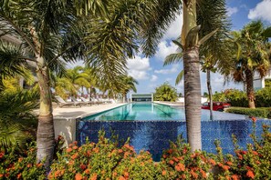 A pool surrounded by palm trees and tropical plants.