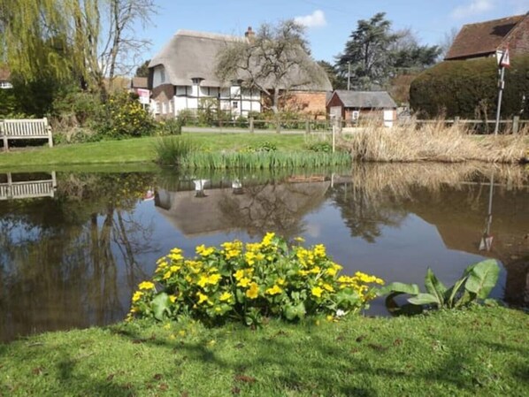 Property grounds - Spacious Country House in stunning Hampshire village - sleeps 8 (Upton Grey)