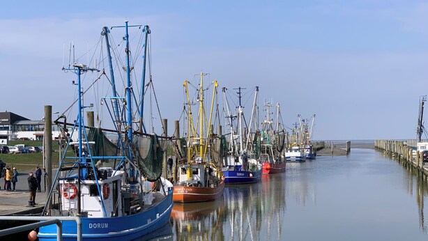 A harbor with multiple fishing boats docked along a pier.
