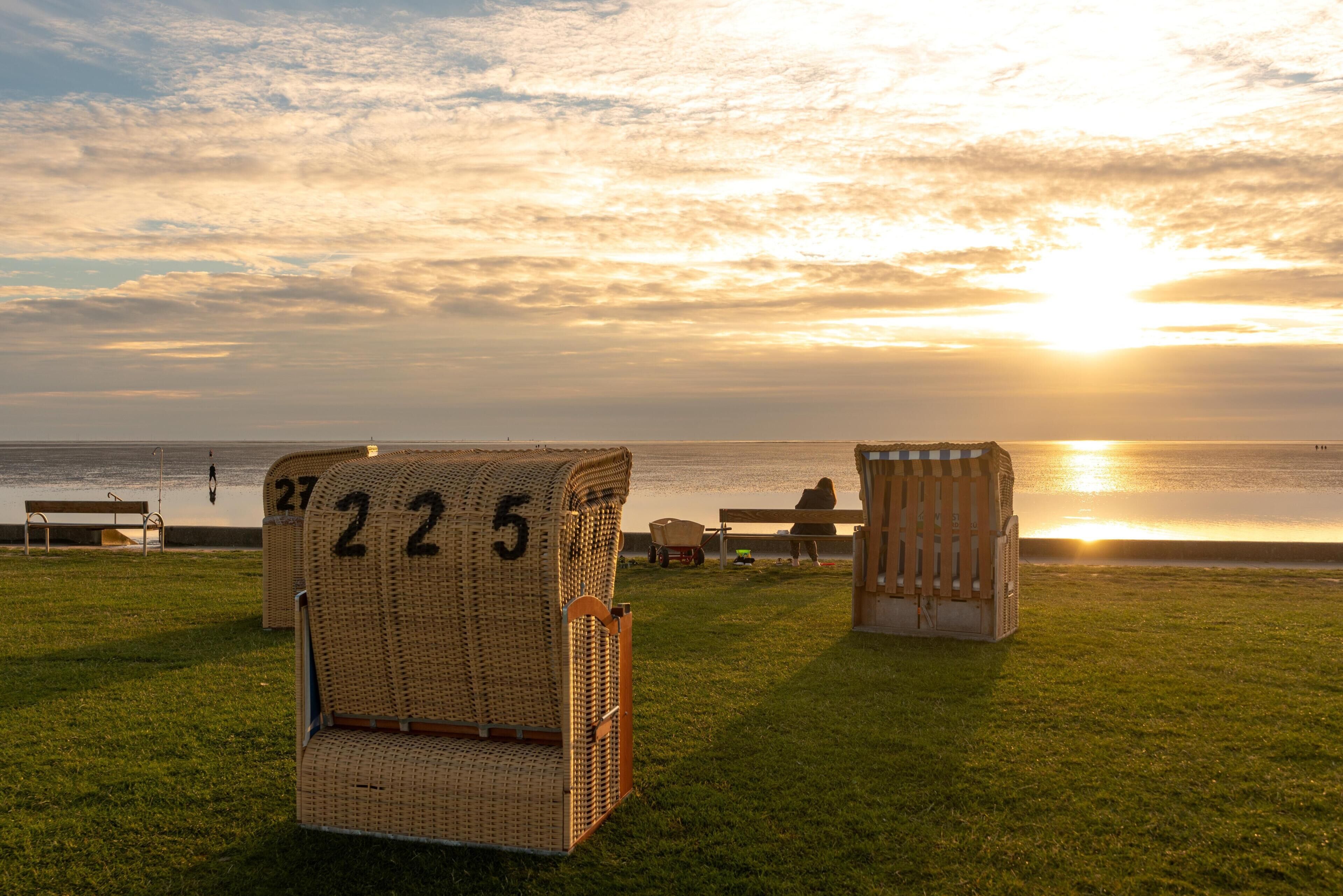 Outdoor wicker chairs with numbers, a bench, and a small structure on a grassy area by the water.