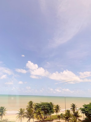Suite | Beach