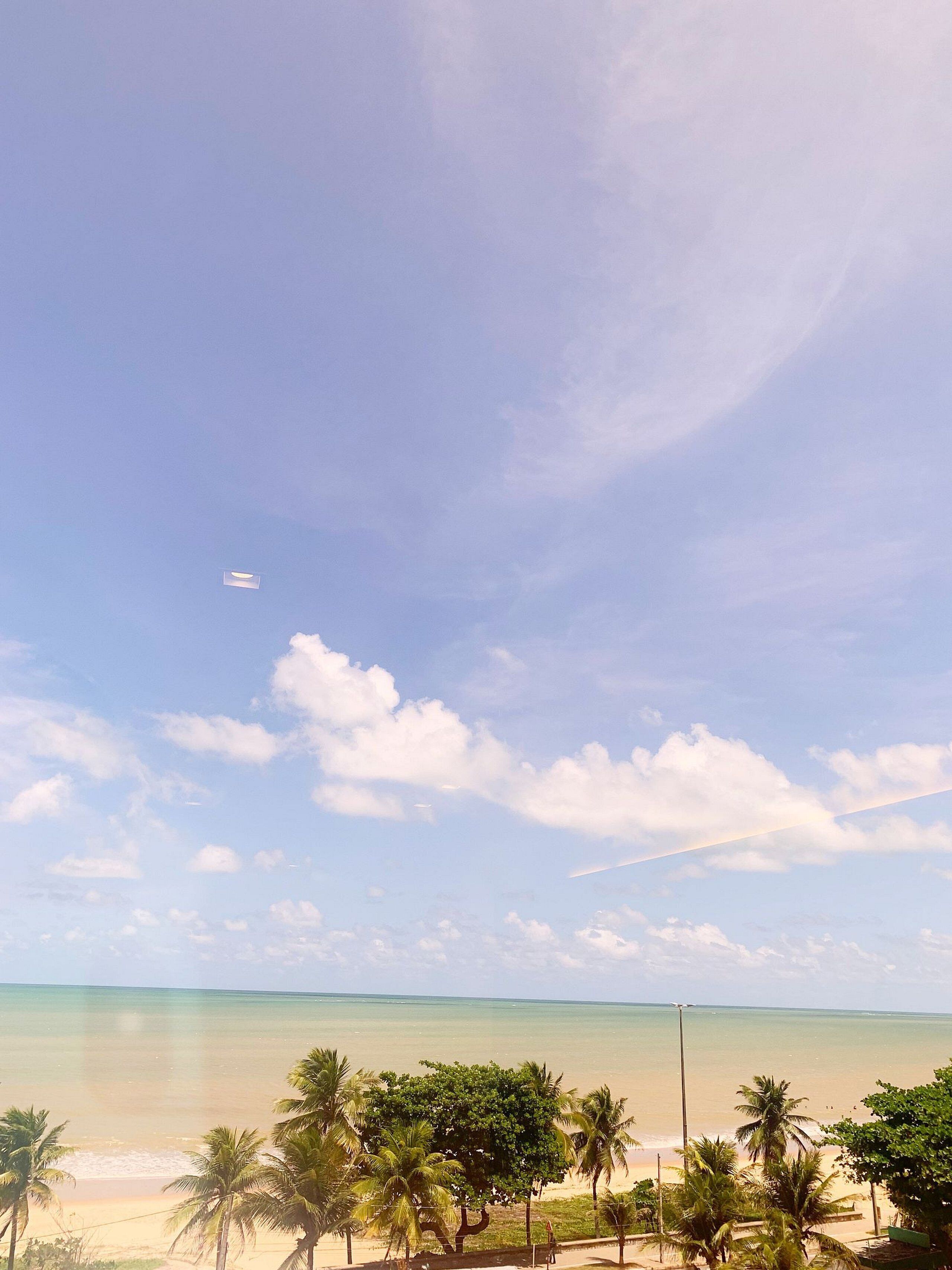 Blick auf einen Strand mit Palmen und blauem Himmel.