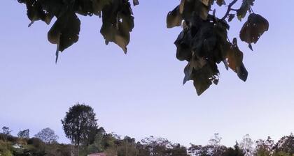 Apto amoblado para vivir por meses