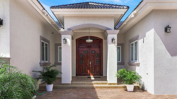 A building entrance with a large wooden door, two potted plants, and a tiled roof.