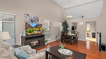 Smart TV, fireplace, books