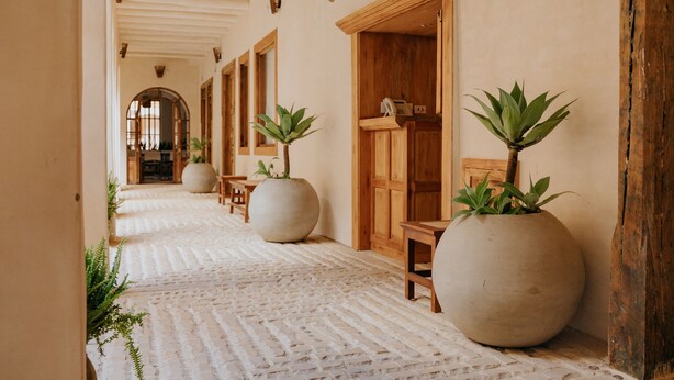 Un pasillo con plantas grandes en macetas, puertas de madera y un suelo estampado.
