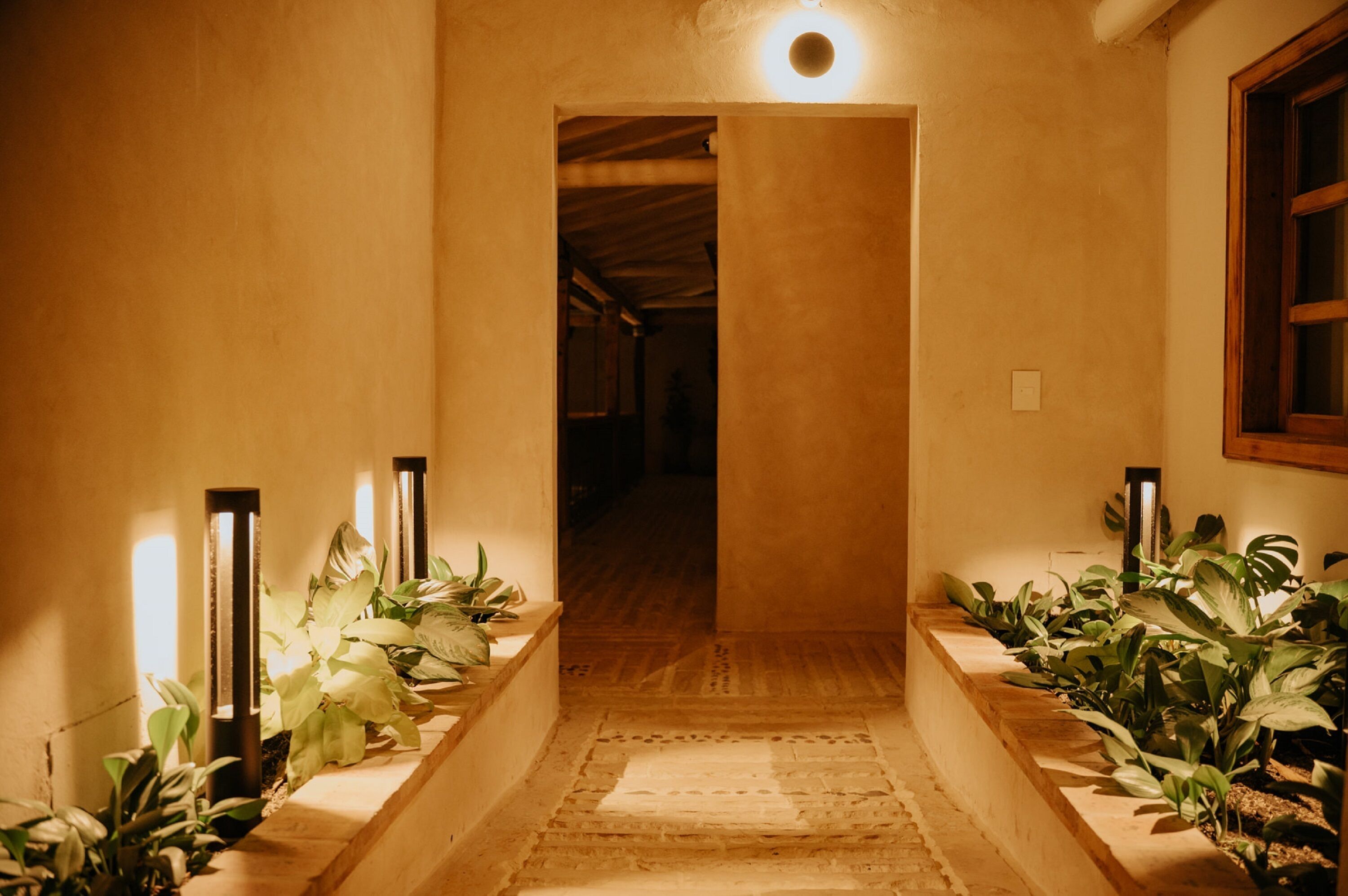 A hallway with a wooden floor, potted plants on either side, and a light fixture above the door.