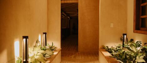 A hallway with a wooden floor, potted plants on either side, and a light fixture above the door.