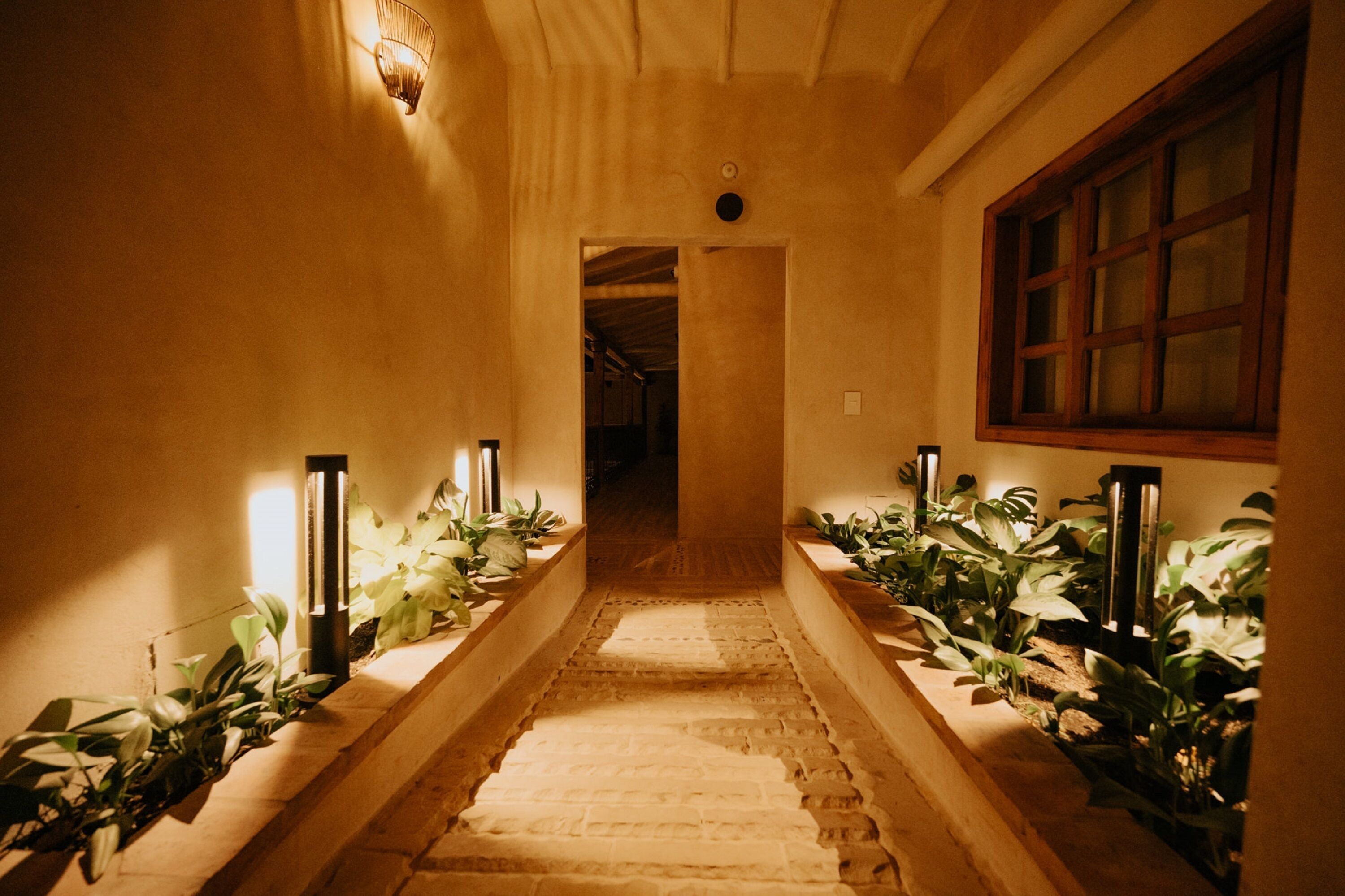 A corridor with a brick floor, flanked by planters with green plants and illuminated by wall-mounted lights.