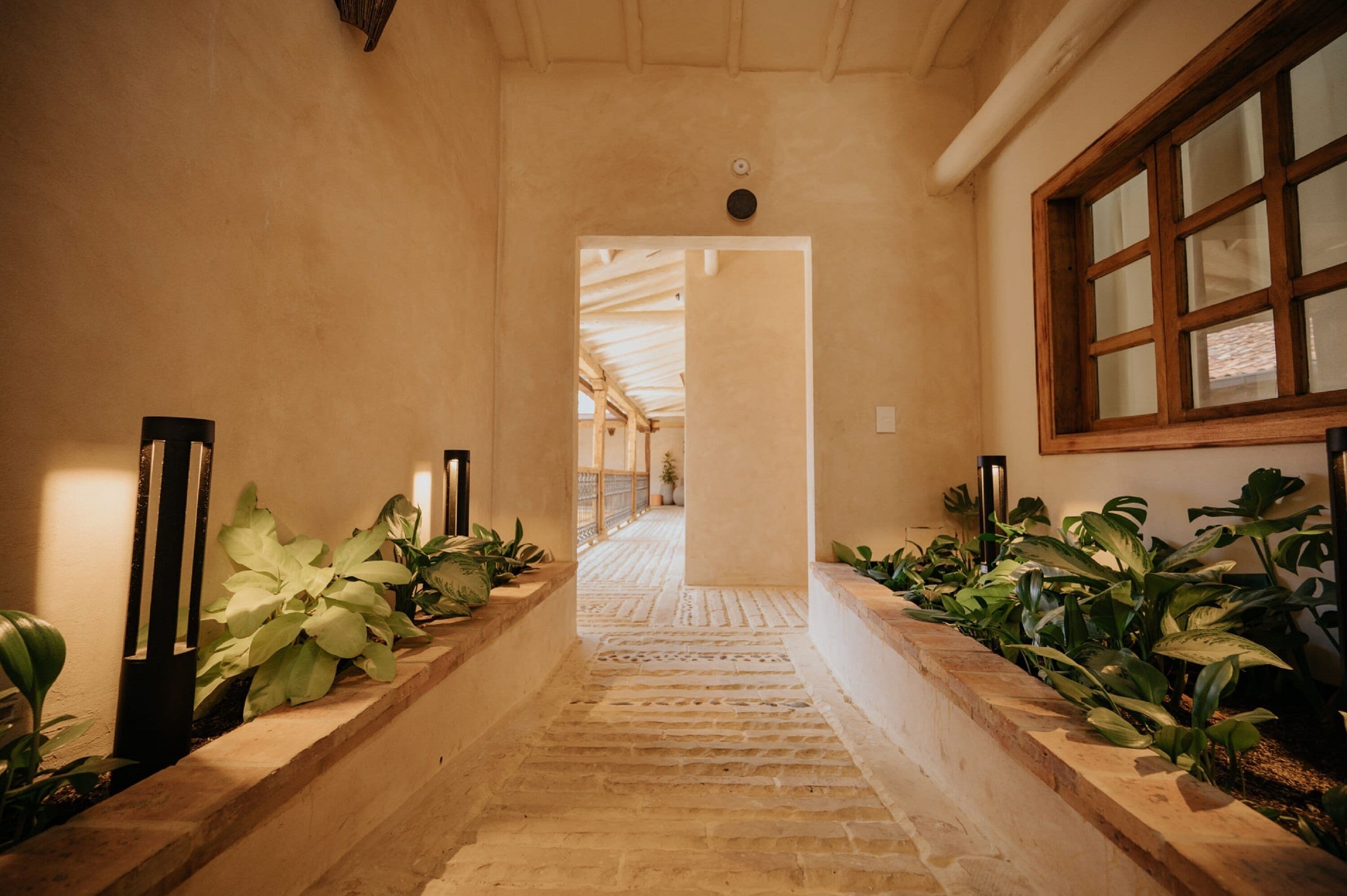 A corridor with a stone floor, potted plants on either side, and a wooden-framed window on the right.