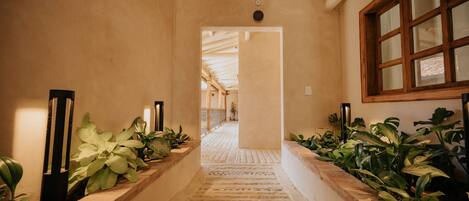 A corridor with a stone floor, potted plants on either side, and a wooden-framed window on the right.