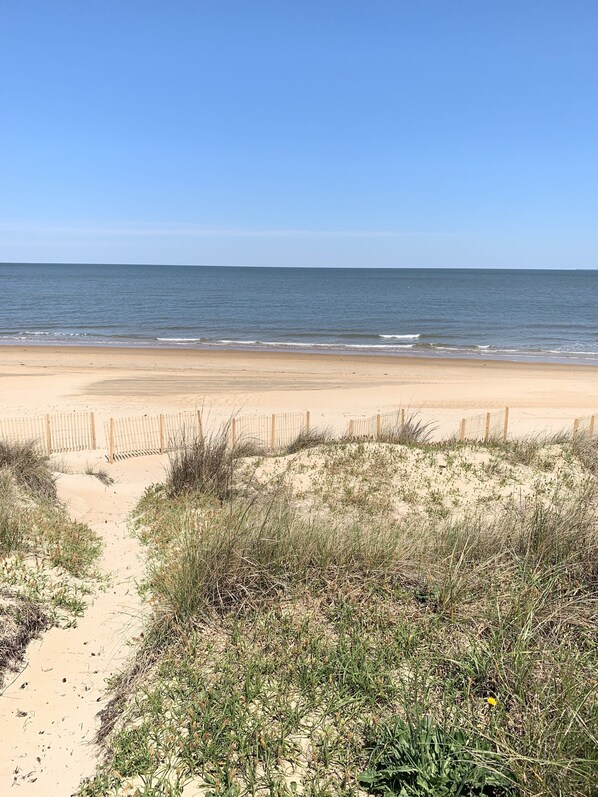 Plage à proximité