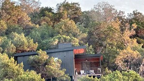 Un edificio moderno con techo plano, rodeado de árboles verdes y frondosos.
