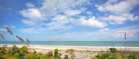 Sun-loungers, beach towels