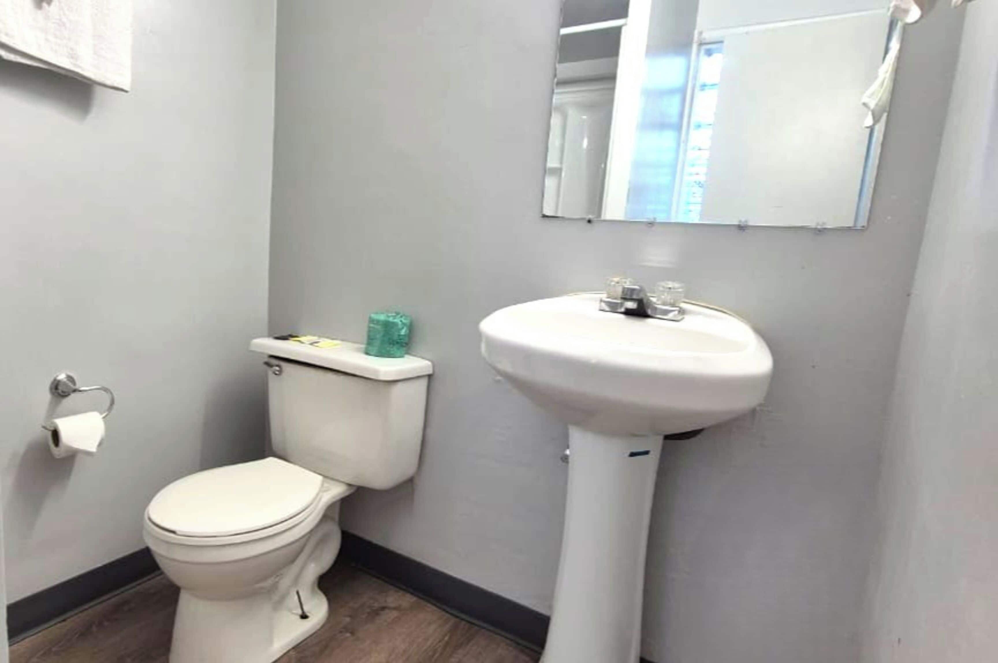 A bathroom with a toilet, sink, and mirror.