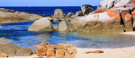 Serviettes de plage