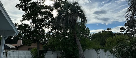 室外游泳池