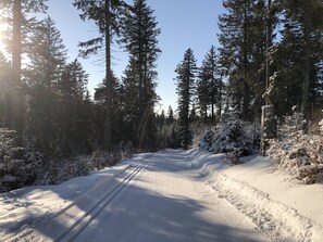 Sneeuw- en skisporten