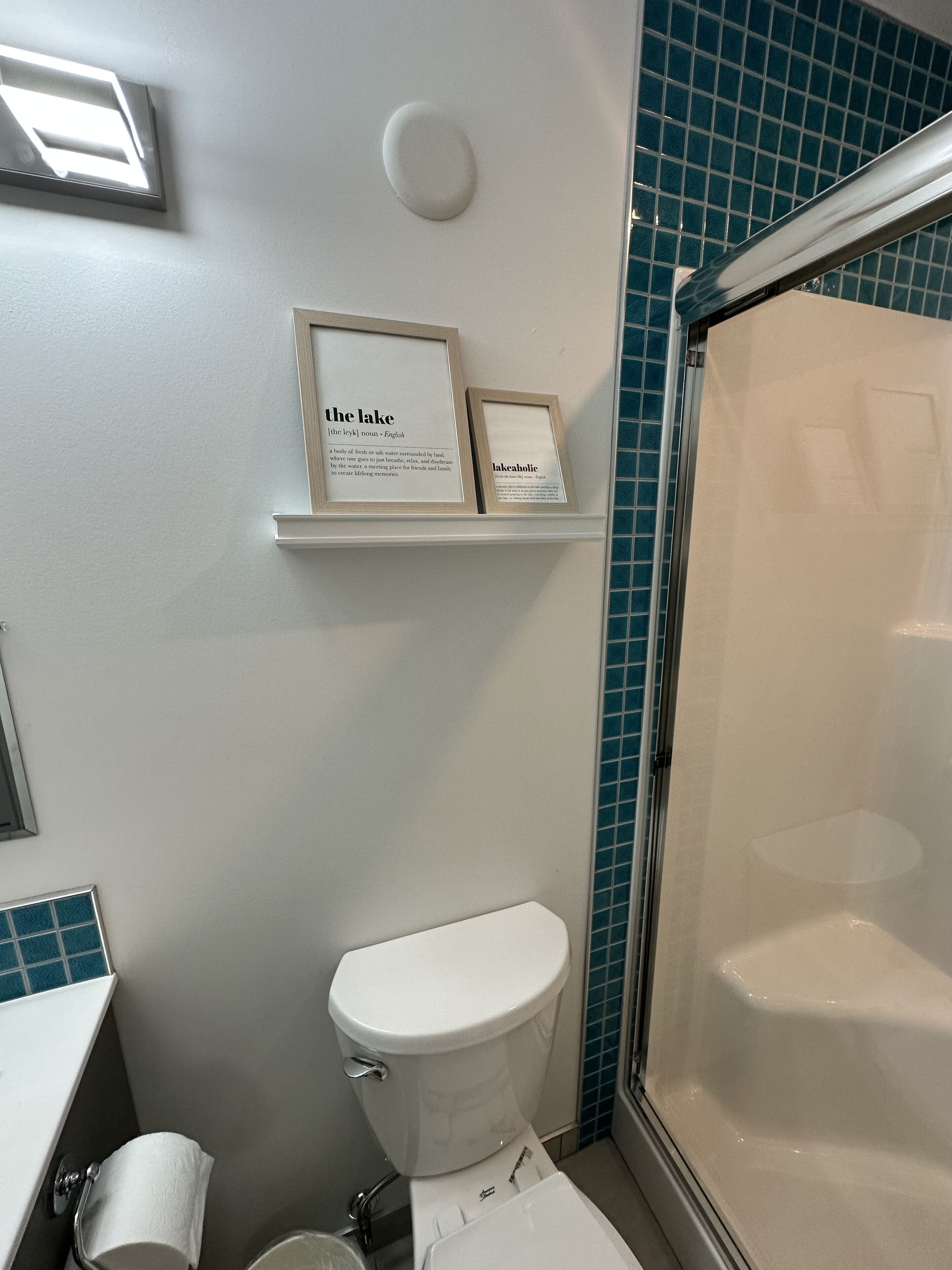 A bathroom with a toilet, a shower, and a shelf with framed definitions of 'the lake' and 'lakeholic'.