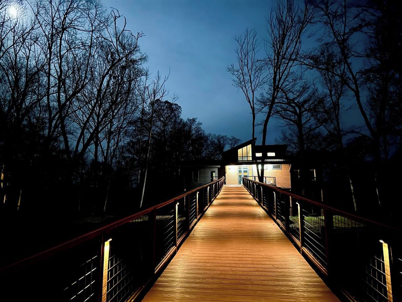 A wooden bridge leading to a building with a modern design, surrounded by trees.