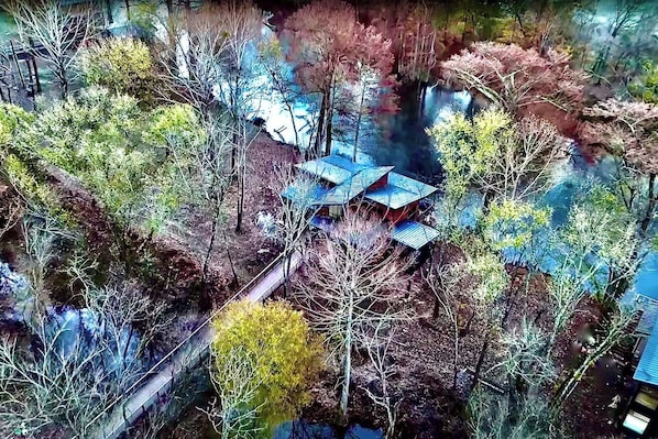 A multi-story building with a rooftop garden, surrounded by trees and a small water feature.