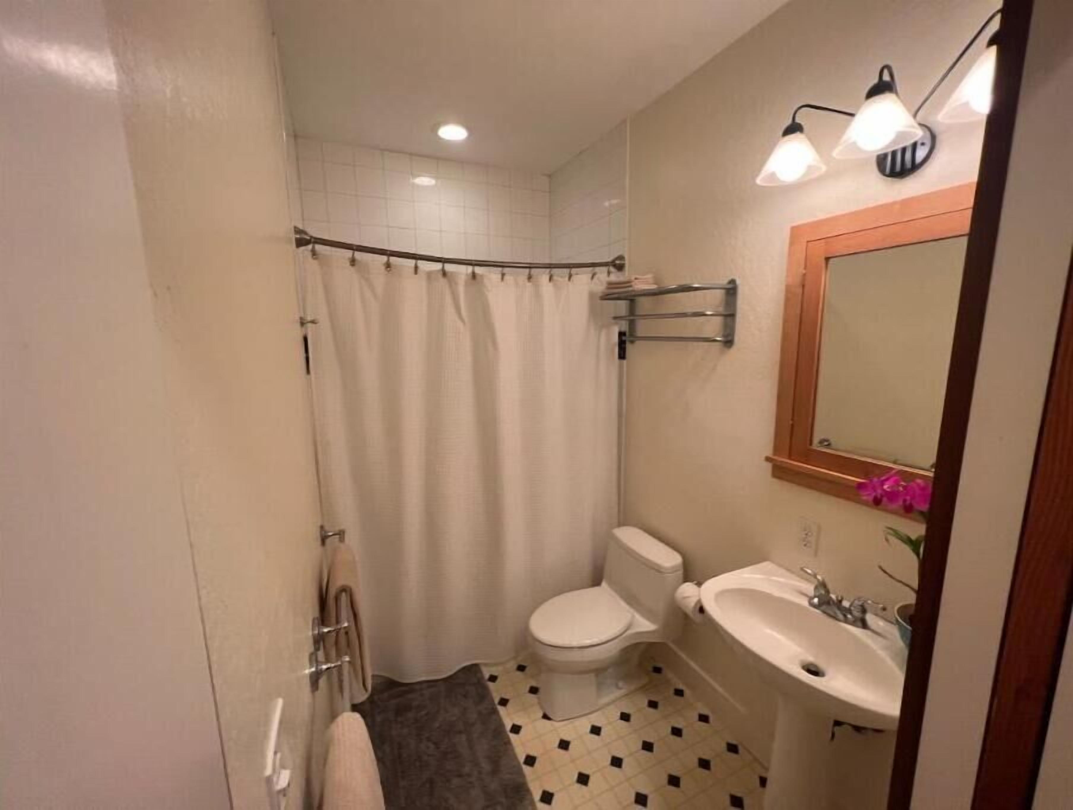 Un bagno piccolo con il water, lavandino e tenda per la doccia.