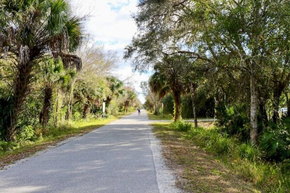 A paved road flanked by lush greenery and trees, leading into the distance.