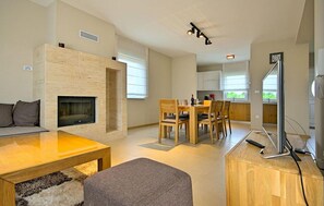 TV, fireplace