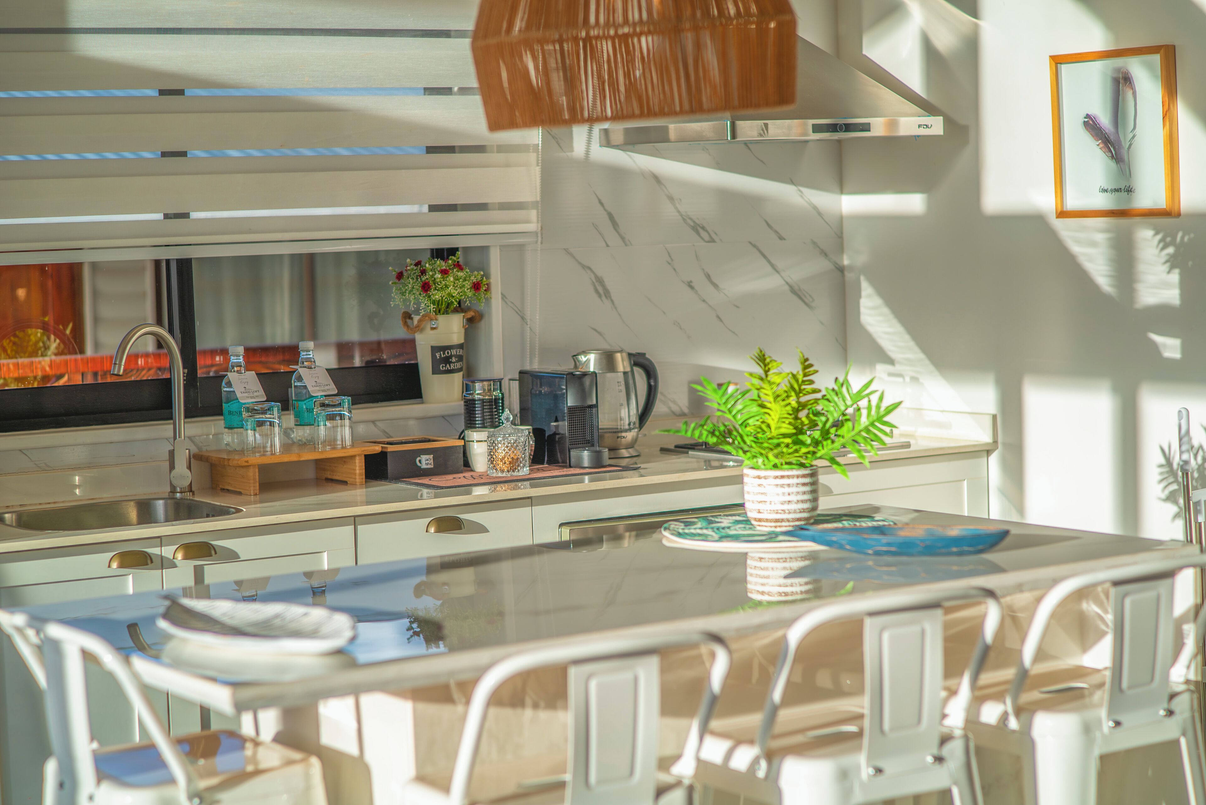 A modern kitchen with a glass dining table, white chairs, a coffee maker, and a potted plant.