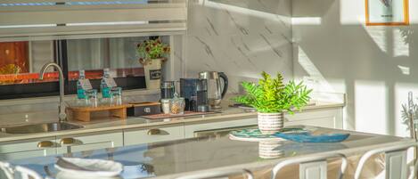 A modern kitchen with a glass dining table, white chairs, a coffee maker, and a potted plant.