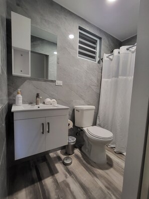 Regadera, toallas, jabón, shampoo 