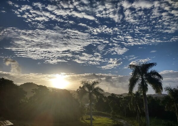 Un paysage avec un ciel dégagé, du soleil et des palmiers.