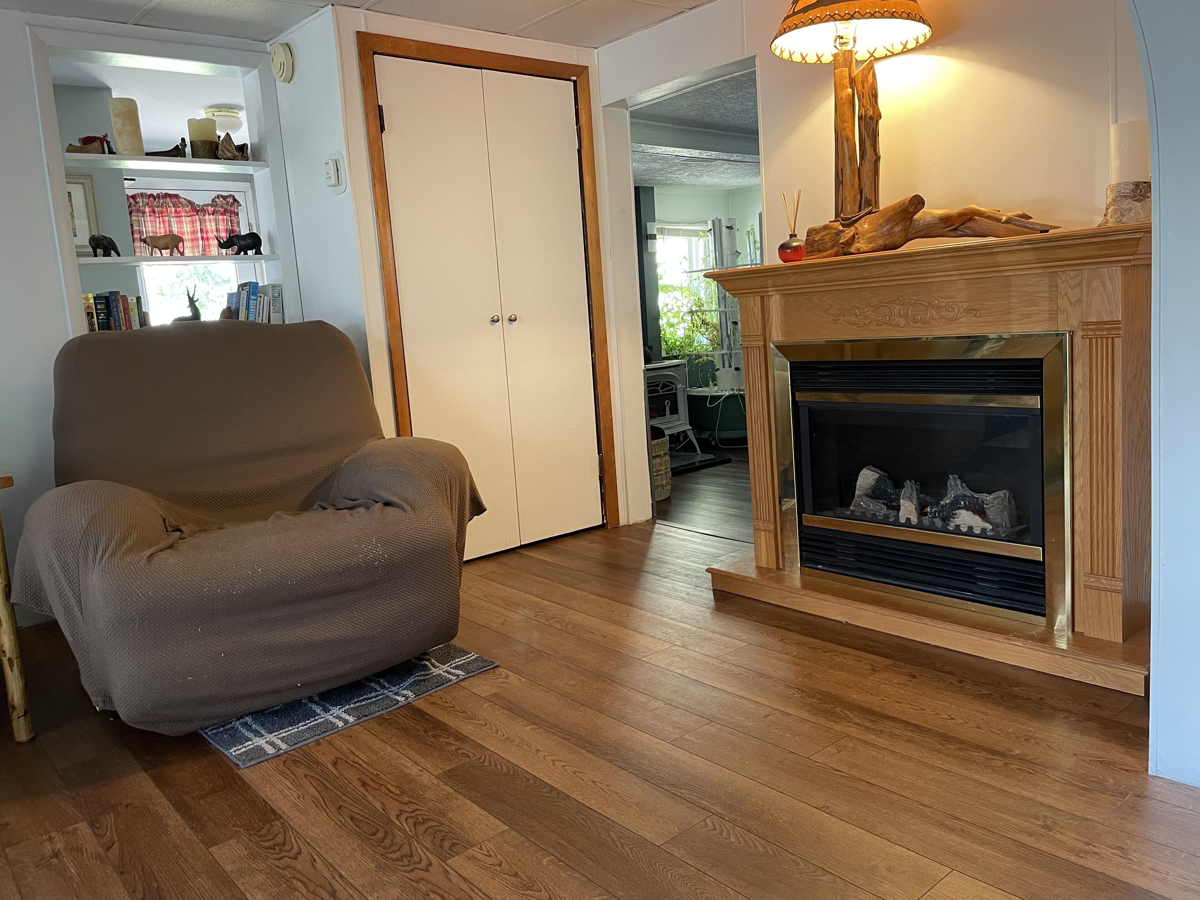 Smart TV, chimenea y libros 