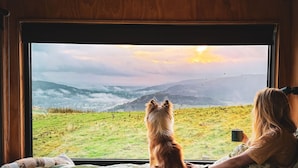 Interior - Eco Off-Grid Luxury Cabin, Panoramic Views & Fire Pit In North Wales (Llangollen)