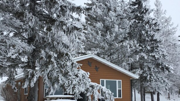 A cabin with a sloped roof, a chimney, and a small porch with benches. - Cabin 9 Lakefront Family Resort (Hines)