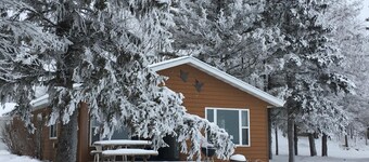 Cabin 9 Lakefront Family Resort