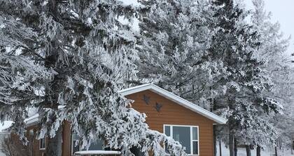 Cabin 9 Lakefront Family Resort