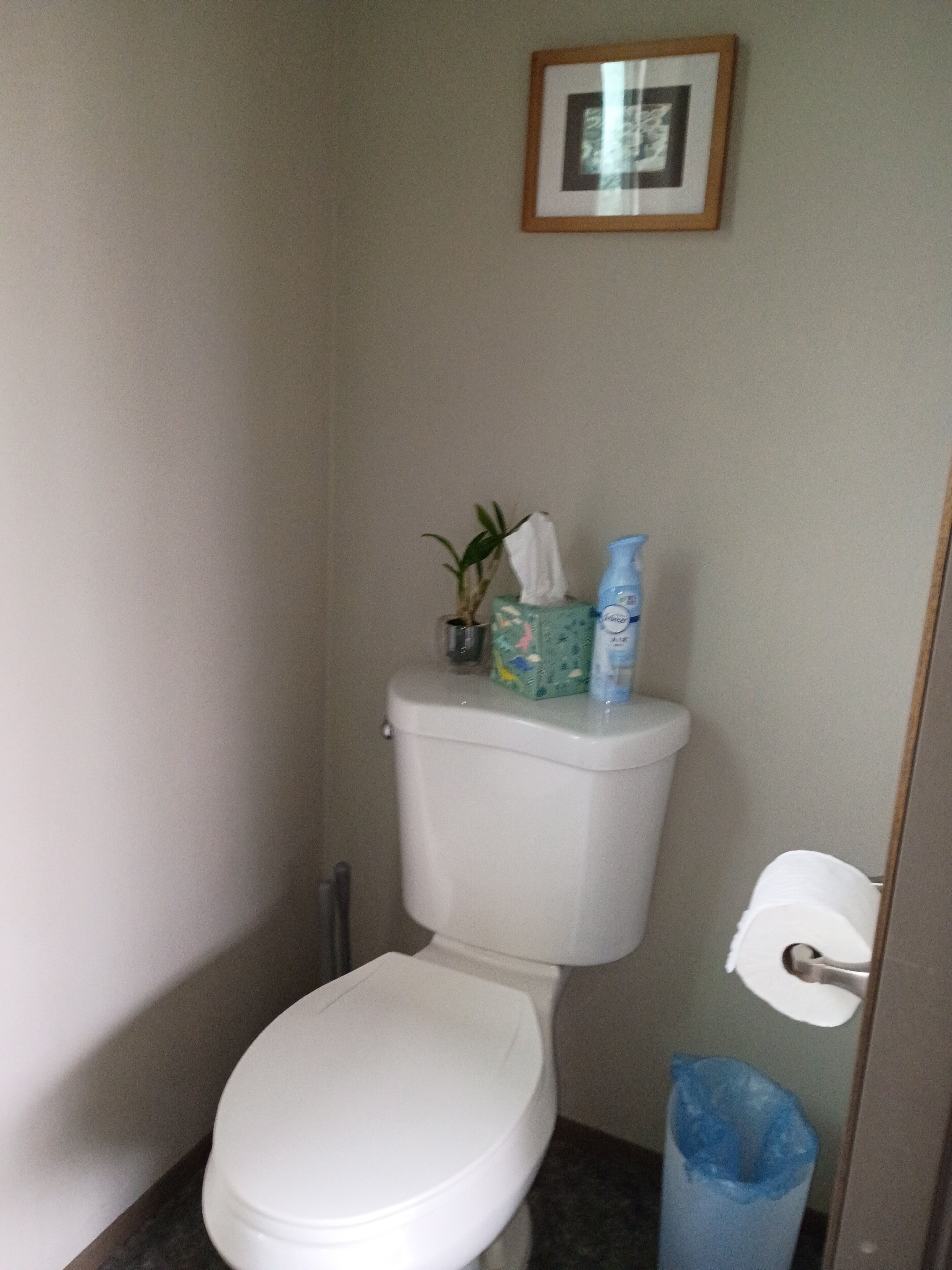 Un baño pequeño con inodoro, un cubo de basura, un cuadro en la pared y una planta pequeña sobre el tanque del inodoro.