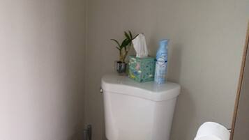 Un baño pequeño con inodoro, un cubo de basura, un cuadro en la pared y una planta pequeña sobre el tanque del inodoro.
