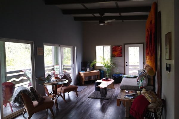 Fernseher, Videospiele, DVD-Player, Bücher