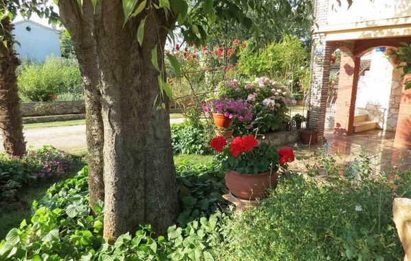 Property grounds - Stunning apartment in Tar-Vabriga (Tar-Vabriga)