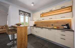 Fridge, oven, stovetop, dishwasher
